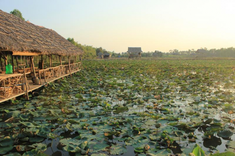 GMFC - Chuyện Ngoài Lề , Bên lề và Trong Lề.