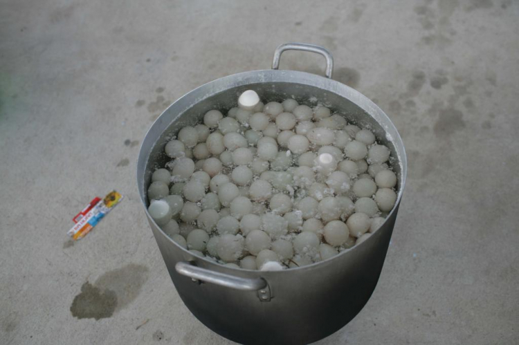 Xuân ấp áp tết yêu thương - Nồi thịt kho hột vịt. Xuân ấp áp tết yêu thương - Nồi thịt kho hột vịt.