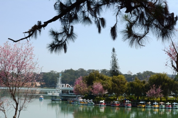 DALAT GIỜ CHỈ CÒN TRONG KÝ ỨC DALAT GIỜ CHỈ CÒN TRONG KÝ ỨC