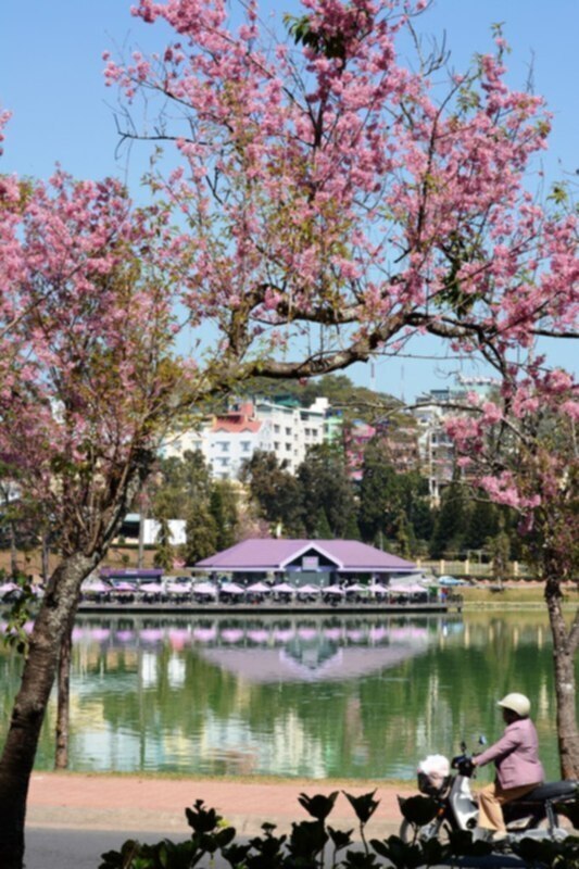 DALAT GIỜ CHỈ CÒN TRONG KÝ ỨC DALAT GIỜ CHỈ CÒN TRONG KÝ ỨC
