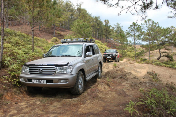 LAND CRUISER  FRIENDCLUB (LFC) "Where there were NO ROADS, there was LAND CRUISER"