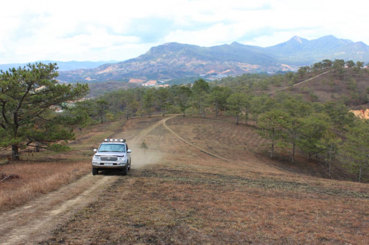 LAND CRUISER  FRIENDCLUB (LFC) "Where there were NO ROADS, there was LAND CRUISER"