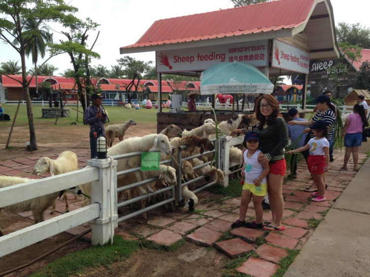 GMFCers du xuân Tết Ất Mùi