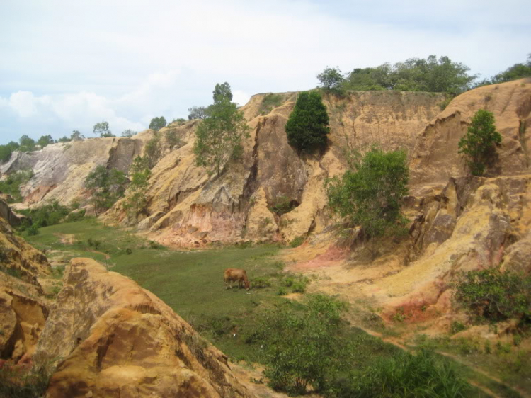Cập nhật thông tin du lịch Thị Xã Lagi ( Cập nhật 2015) Cập nhật thông tin du lịch Thị Xã Lagi ( Cập nhật 2015)