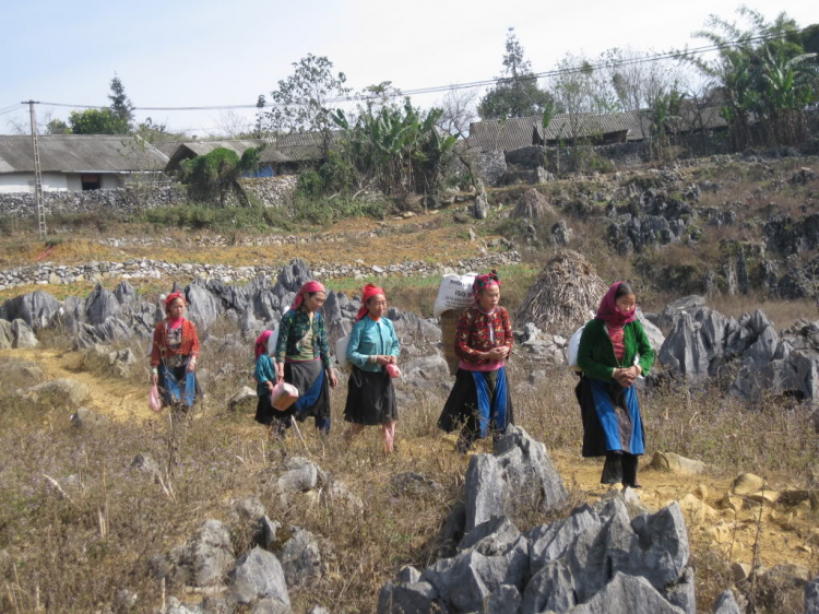 Nhật ký Hành trình Khám Phá Lũng Cú - Đồng Văn, đã nhiều lần đến, nhưng ko bao giờ quên