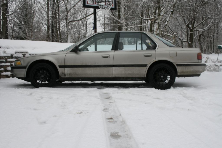 ACCORD CLUB : Bộ sưu tập ACCORDS 90-97 & Acura Legend 91- 95 !