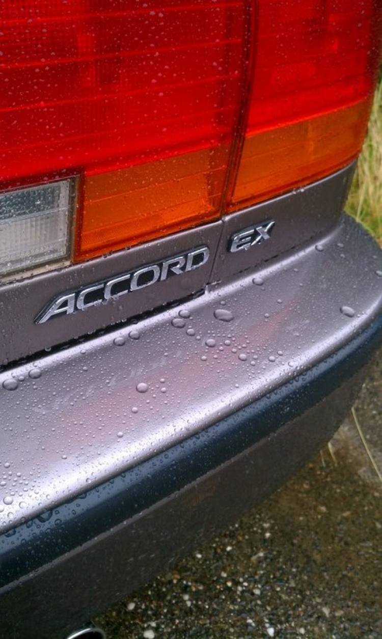 ACCORD CLUB : Bộ sưu tập ACCORDS 90-97 & Acura Legend 91- 95 !