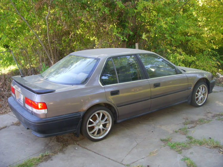 ACCORD CLUB : Bộ sưu tập ACCORDS 90-97 & Acura Legend 91- 95 !