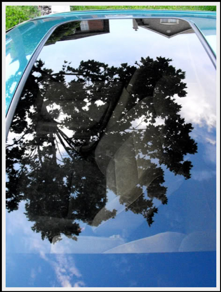 ACCORD CLUB : Bộ sưu tập ACCORDS 90-97 & Acura Legend 91- 95 ! ACCORD CLUB : Bộ sưu tập ACCORDS 90-97 & Acura Legend 91- 95 !