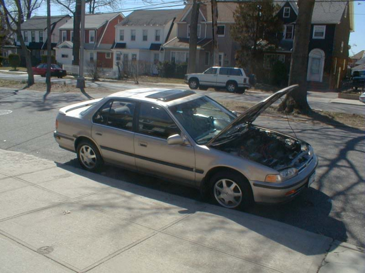 ACCORD CLUB : Bộ sưu tập ACCORDS 90-97 & Acura Legend 91- 95 !