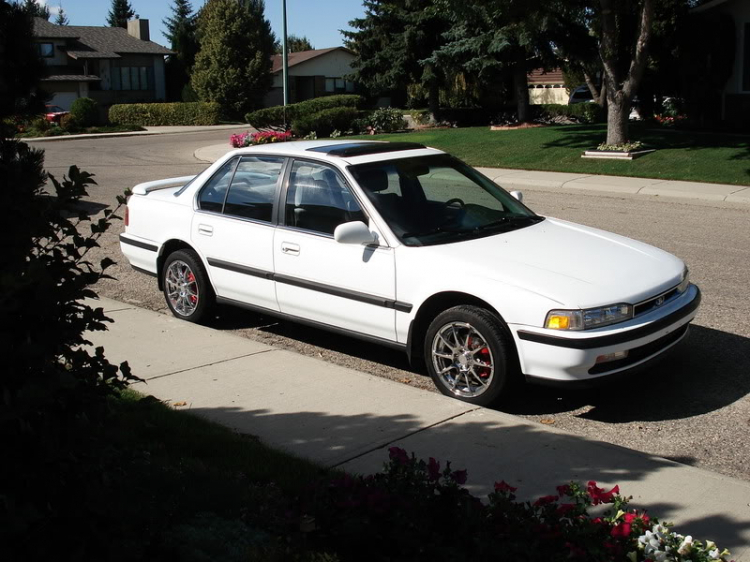 ACCORD CLUB : Bộ sưu tập ACCORDS 90-97 & Acura Legend 91- 95 !