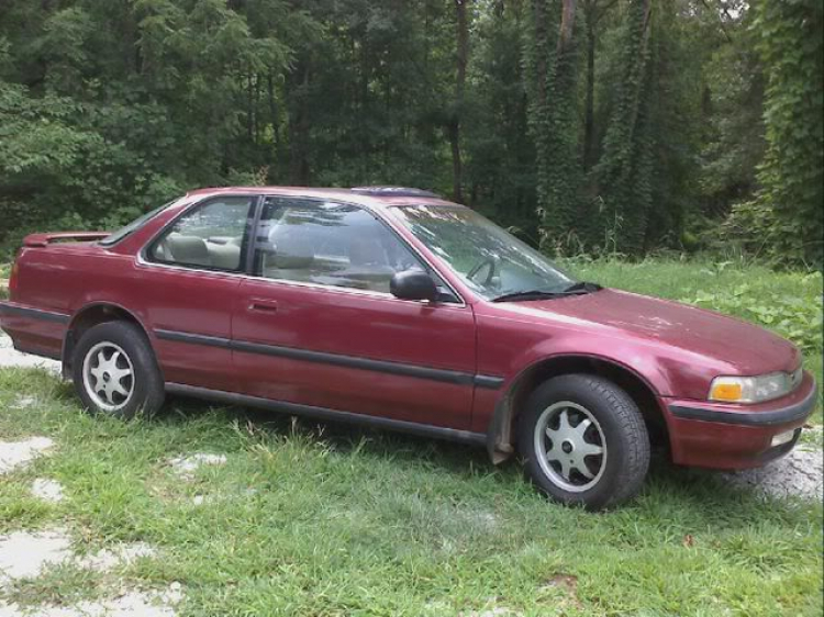 ACCORD CLUB : Bộ sưu tập ACCORDS 90-97 & Acura Legend 91- 95 !