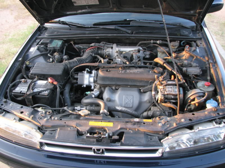 ACCORD CLUB : Bộ sưu tập ACCORDS 90-97 & Acura Legend 91- 95 !