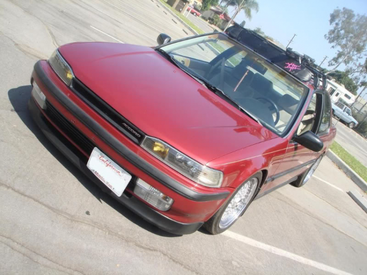 ACCORD CLUB : Bộ sưu tập ACCORDS 90-97 & Acura Legend 91- 95 !