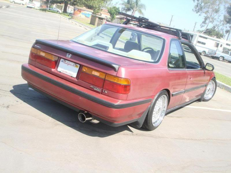 ACCORD CLUB : Bộ sưu tập ACCORDS 90-97 & Acura Legend 91- 95 !