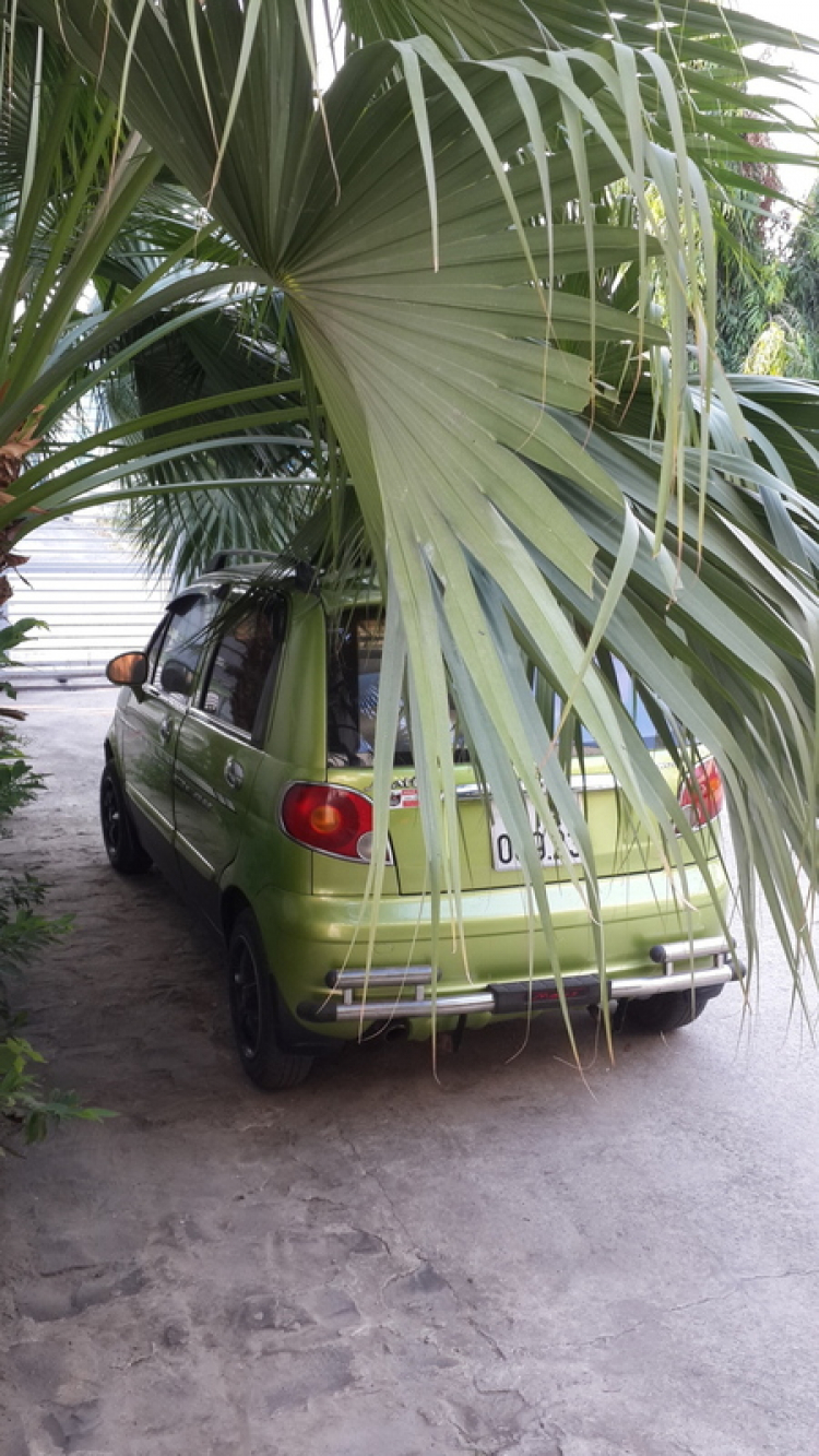 [Matiz] Khoe xe bèo nè! (Cập nhật trang 1)