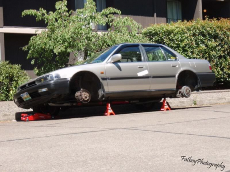 ACCORD CLUB : Bộ sưu tập ACCORDS 90-97 & Acura Legend 91- 95 !