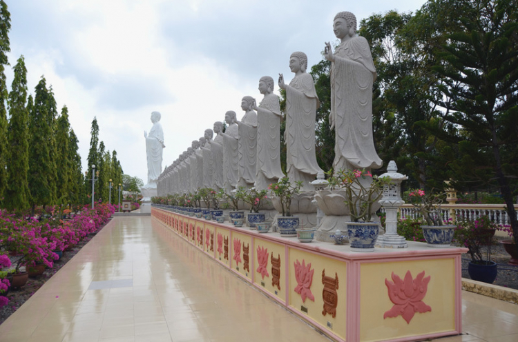 Câu lạc bộ chụp hình GMFC Câu lạc bộ chụp hình GMFC