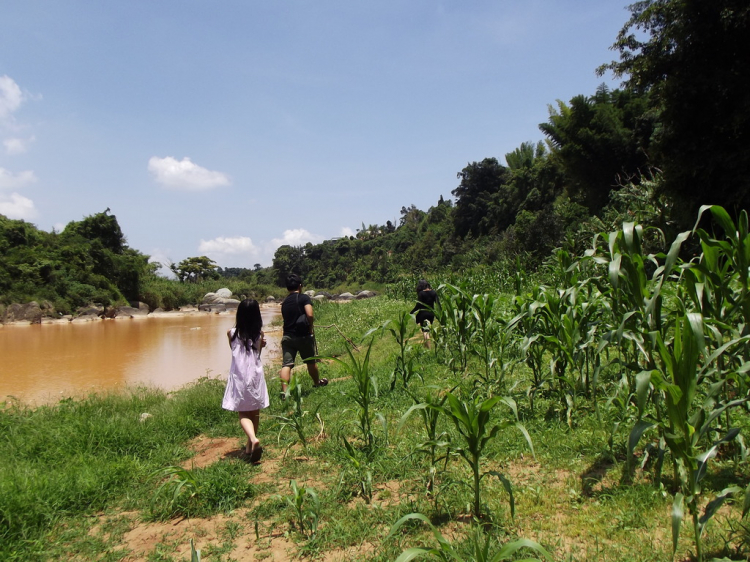 Hè về - Dạo chơi Cao nguyên, Lượn lờ Vịnh biển! Hè về - Dạo chơi Cao nguyên, Lượn lờ Vịnh biển!