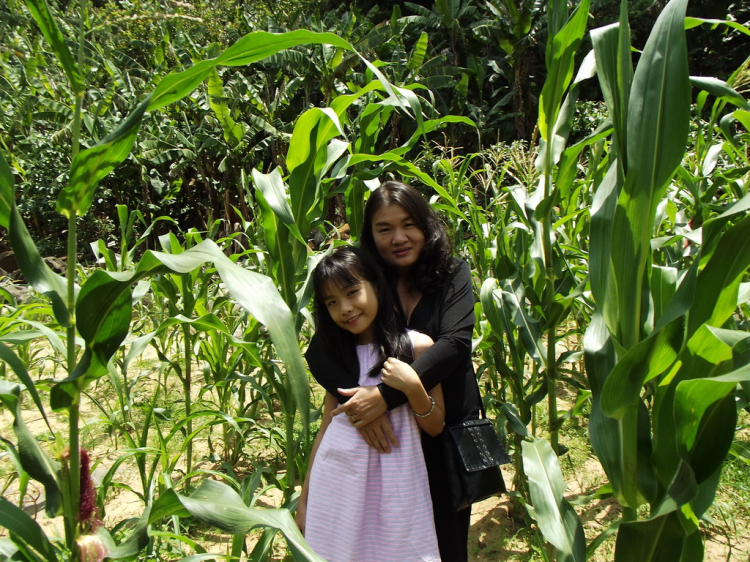 Hè về - Dạo chơi Cao nguyên, Lượn lờ Vịnh biển! Hè về - Dạo chơi Cao nguyên, Lượn lờ Vịnh biển!