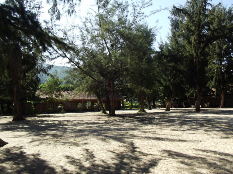 Hè về - Dạo chơi Cao nguyên, Lượn lờ Vịnh biển! Hè về - Dạo chơi Cao nguyên, Lượn lờ Vịnh biển!