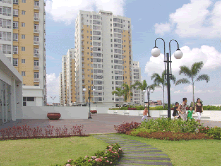 Con đường đẹp nhất Sài Gòn Con đường đẹp nhất Sài Gòn