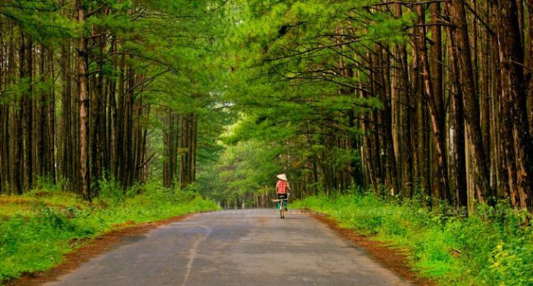Nhớ Đà Lạt Quá Các Bác Ạ! Nhớ Đà Lạt Quá Các Bác Ạ!