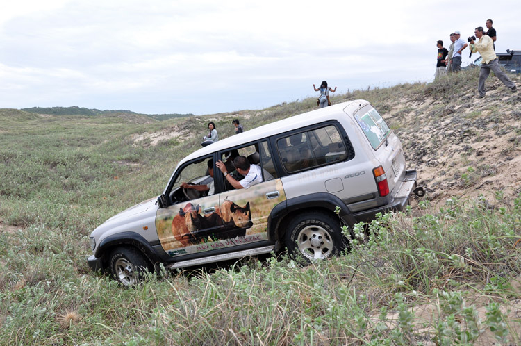 LAND CRUISER  FRIENDCLUB (LFC) "Where there were NO ROADS, there was LAND CRUISER"