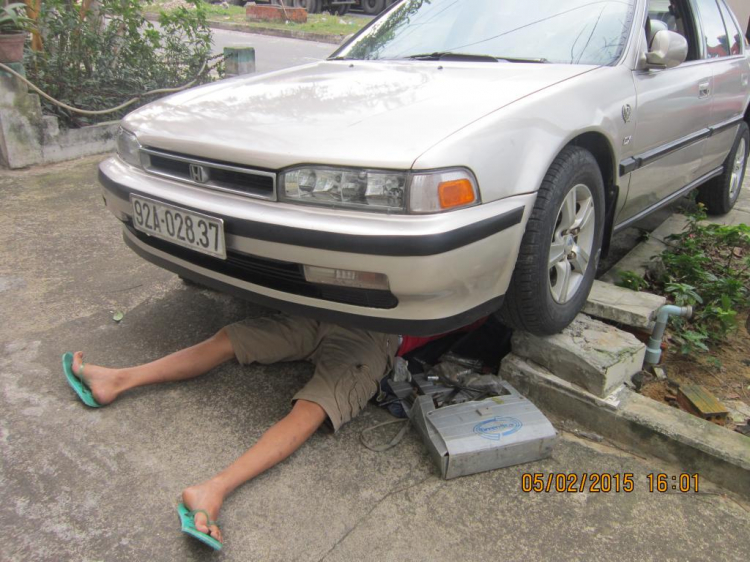 Vàng cát nhà e...! Vàng cát nhà e...!