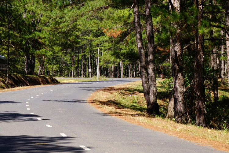 DALAT GIỜ CHỈ CÒN TRONG KÝ ỨC