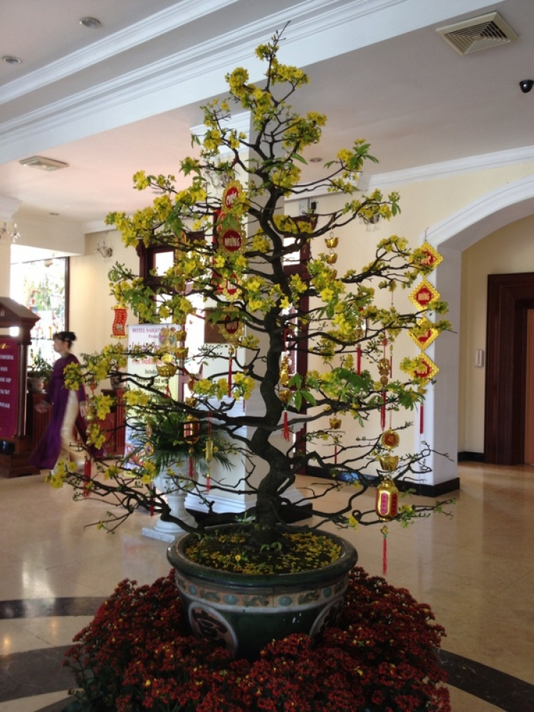 Rủ rê đón tết xa nhà: Huế-Đà nẵng-Hội an-Quy nhơn-Phú yên-Nha trang! Rủ rê đón tết xa nhà: Huế-Đà nẵng-Hội an-Quy nhơn-Phú yên-Nha trang!