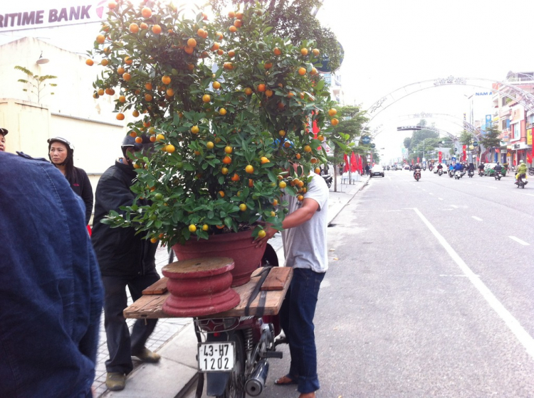 Miền Trung Du Xuân Ký - Gia Đình Nhỏ và Chuyến Phượt Ăn Tết Xa Nhà.