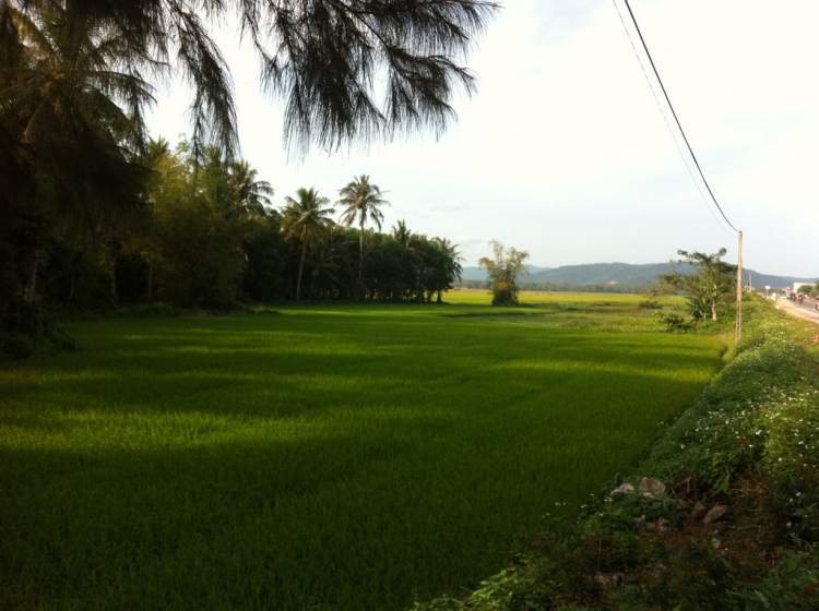 Miền Trung Du Xuân Ký - Gia Đình Nhỏ và Chuyến Phượt Ăn Tết Xa Nhà.