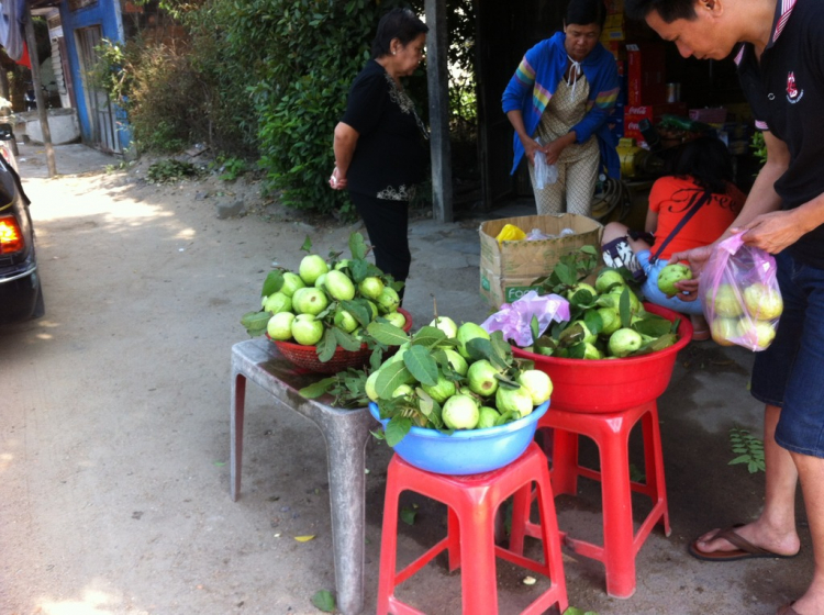 Miền Trung Du Xuân Ký - Gia Đình Nhỏ và Chuyến Phượt Ăn Tết Xa Nhà.