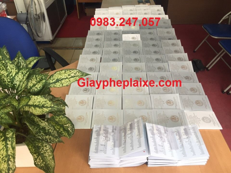 BẰNG LÁI XE QUỐC TẾ