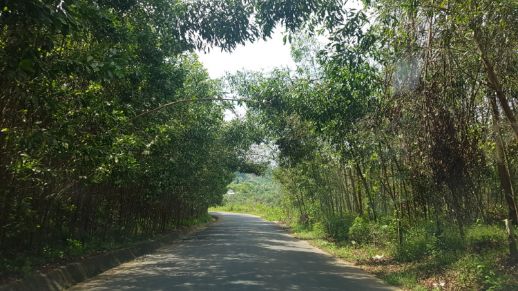 Hè 2016: Lên rừng xuống biển - Miền Trung du ký