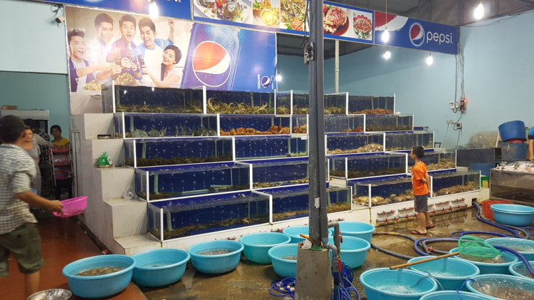 Hè 2016: Lên rừng xuống biển - Miền Trung du ký