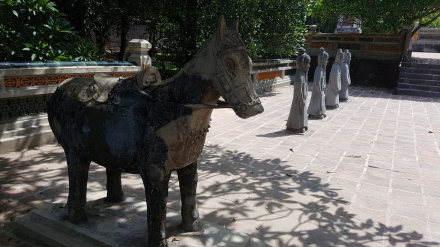 20160607_134952_zpsxeyexjtk.jpg
