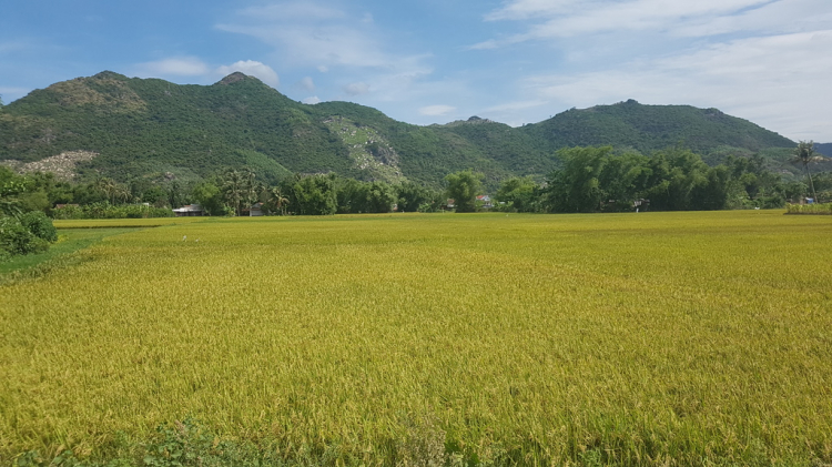 Hè 2016: Lên rừng xuống biển - Miền Trung du ký Hè 2016: Lên rừng xuống biển - Miền Trung du ký