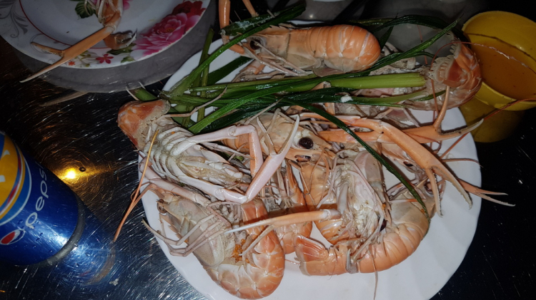 Hè 2016: Lên rừng xuống biển - Miền Trung du ký