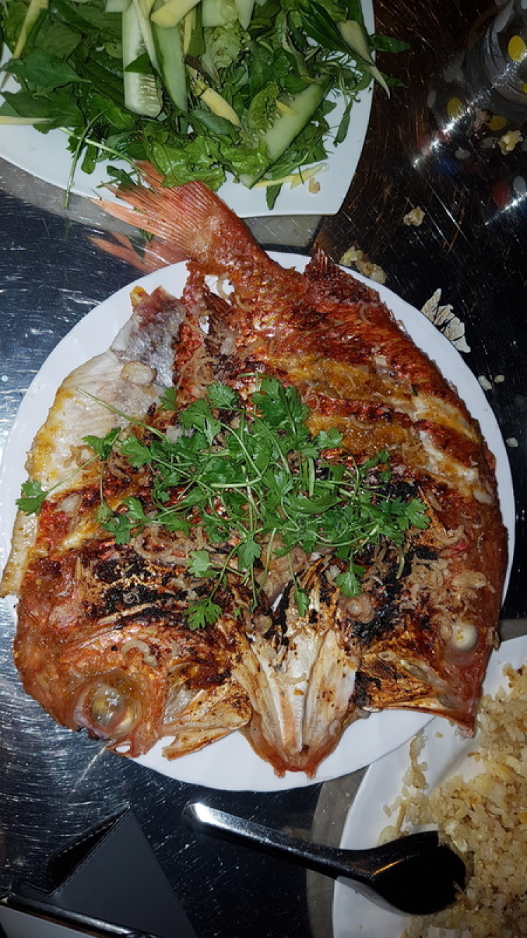 Hè 2016: Lên rừng xuống biển - Miền Trung du ký