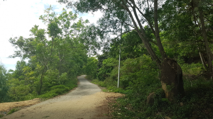 20160609_093444_zps6pu6ghjz.jpg