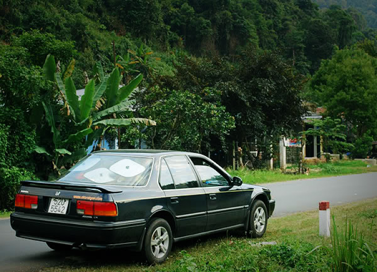 XIN TƯ VẤN ACCORD 1992