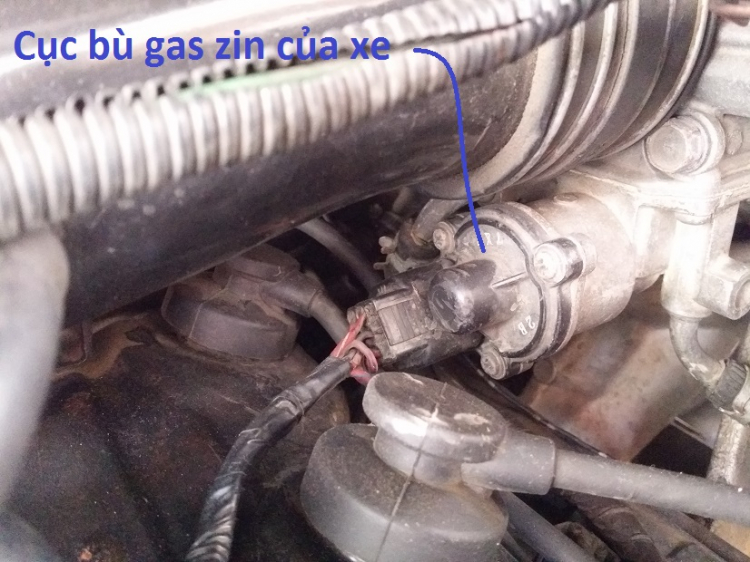 MITSUBISHI PAJERO 1993-2003: CHIA SẺ KINH NGHIỆM - RỦ RÊ PHƯỢT PHIẾT MITSUBISHI PAJERO 1993-2003: CHIA SẺ KINH NGHIỆM - RỦ RÊ PHƯỢT PHIẾT