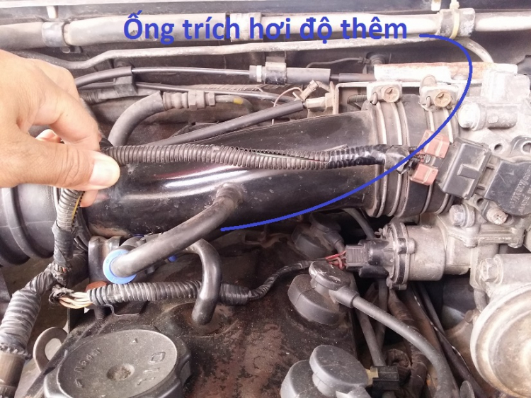 MITSUBISHI PAJERO 1993-2003: CHIA SẺ KINH NGHIỆM - RỦ RÊ PHƯỢT PHIẾT MITSUBISHI PAJERO 1993-2003: CHIA SẺ KINH NGHIỆM - RỦ RÊ PHƯỢT PHIẾT