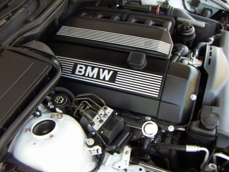 Mới cưới khỉ già BMW 325i E46