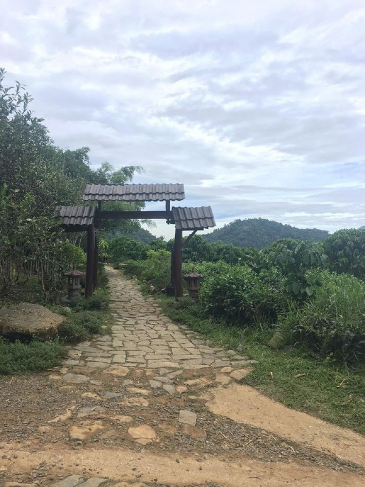 Hội PS xì phuột - Hành trình về Bảo Lộc - Kết nối cùng yêu thương - Hội PS xì phuột - Hành trình về Bảo Lộc - Kết nối cùng yêu thương -
