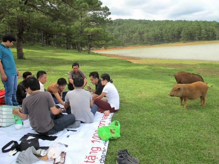 DALAT GIỜ CHỈ CÒN TRONG KÝ ỨC DALAT GIỜ CHỈ CÒN TRONG KÝ ỨC