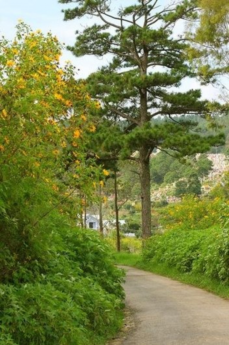 DALAT GIỜ CHỈ CÒN TRONG KÝ ỨC DALAT GIỜ CHỈ CÒN TRONG KÝ ỨC