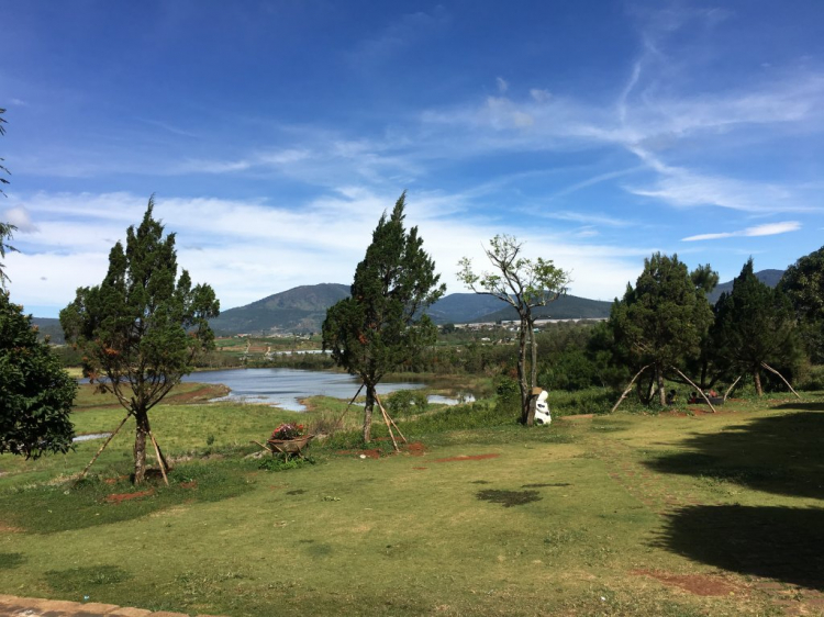 Tổng hợp các thớt về DALAT từ A đến Z Tổng hợp các thớt về DALAT từ A đến Z